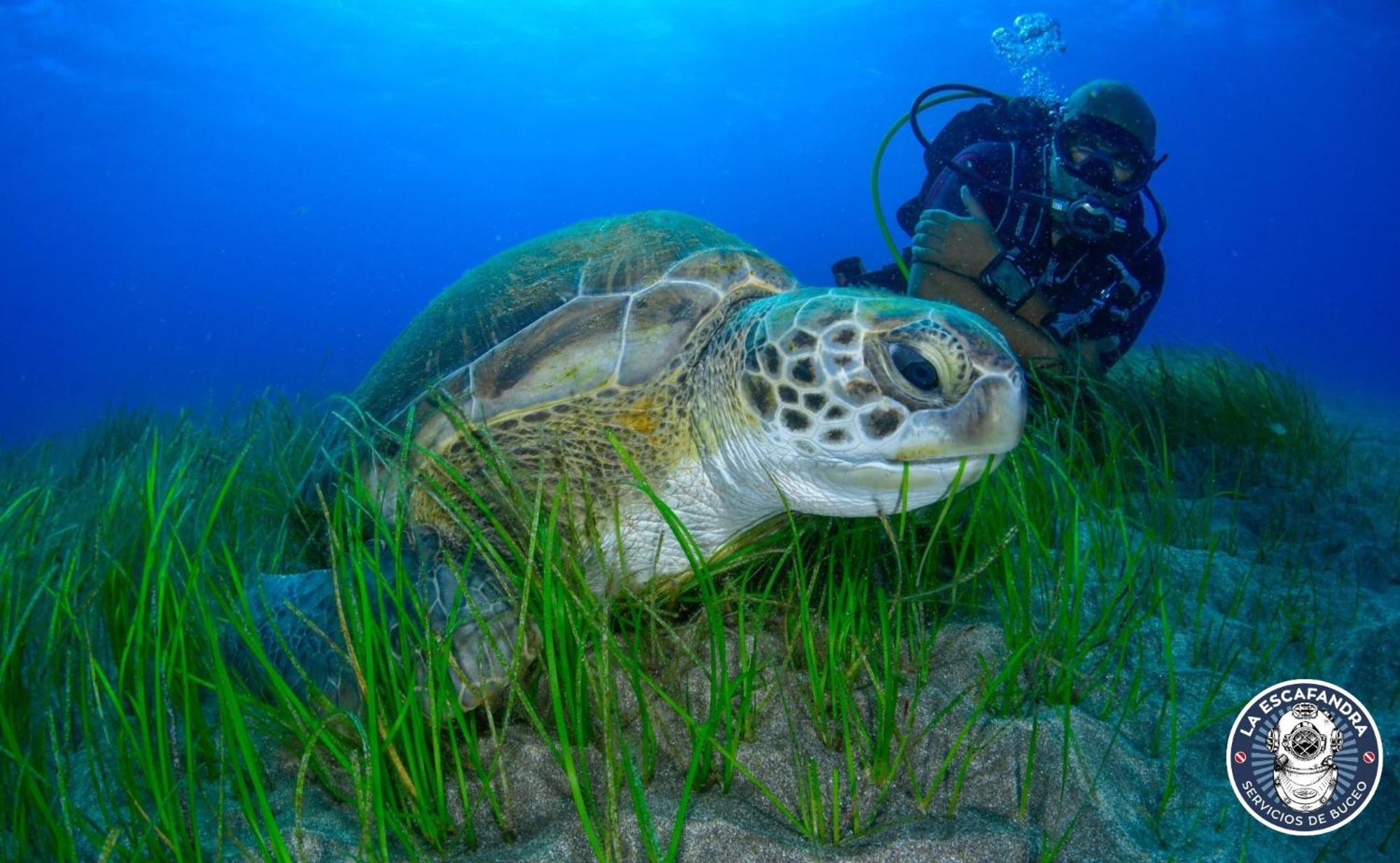 219 Las Eras On The Sea ภายนอก รูปภาพ